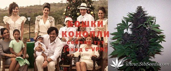 гидропоника Алексеевка